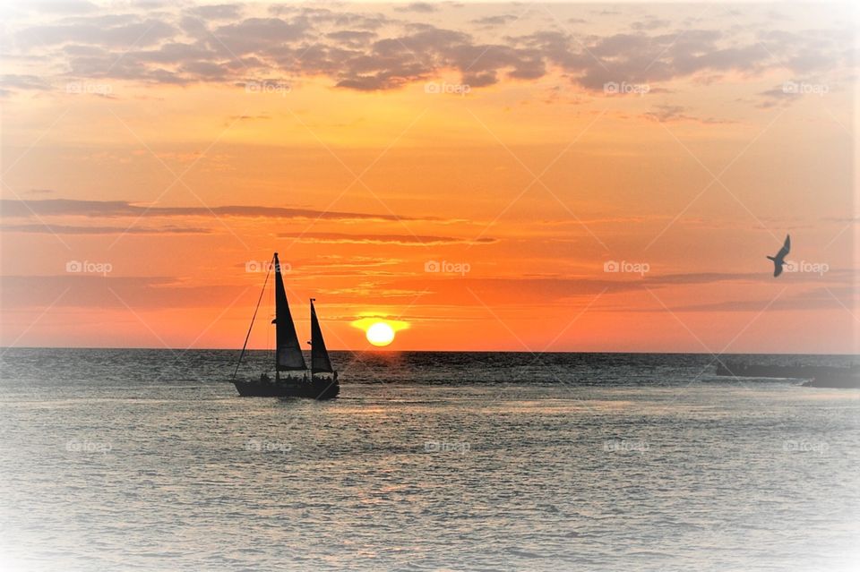 Gulf of Mexico Sailing At Sunset 