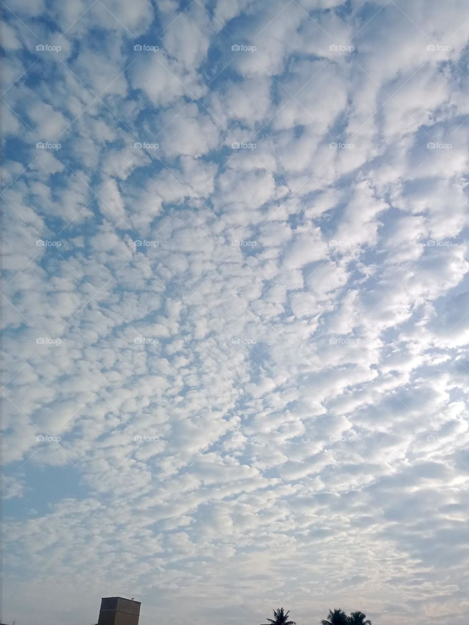 Ravarma VanguvO / Cloud Parade / Cloud Wave / Half white / Gray