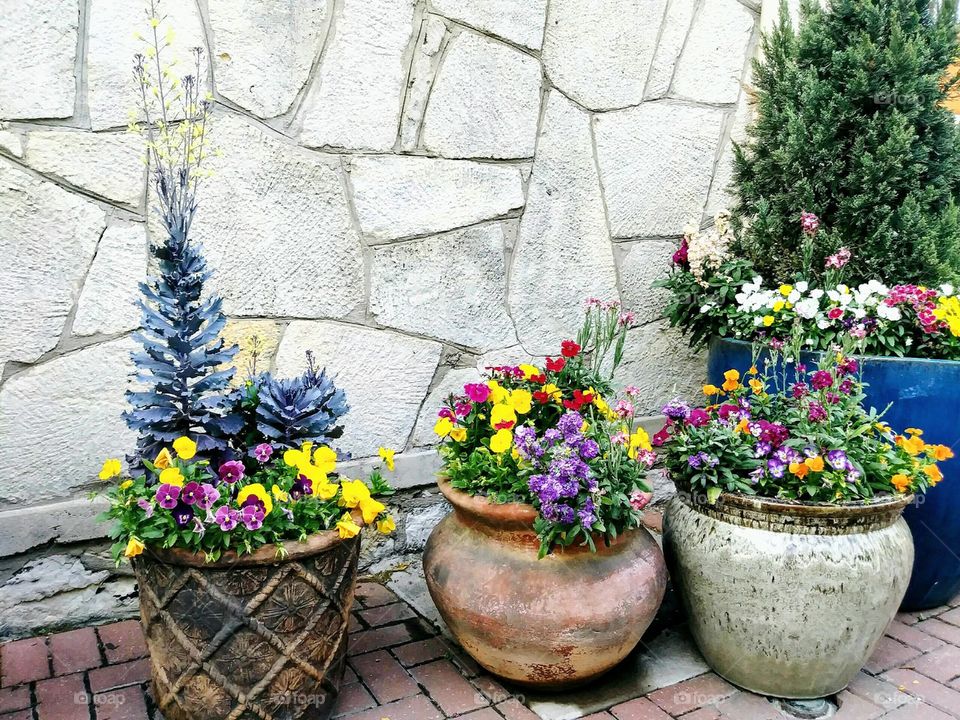 Spanish clay pots with colorful flowers and a limestone wall background and brick floor.
