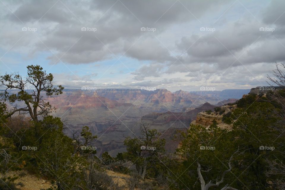 Grand Canyon