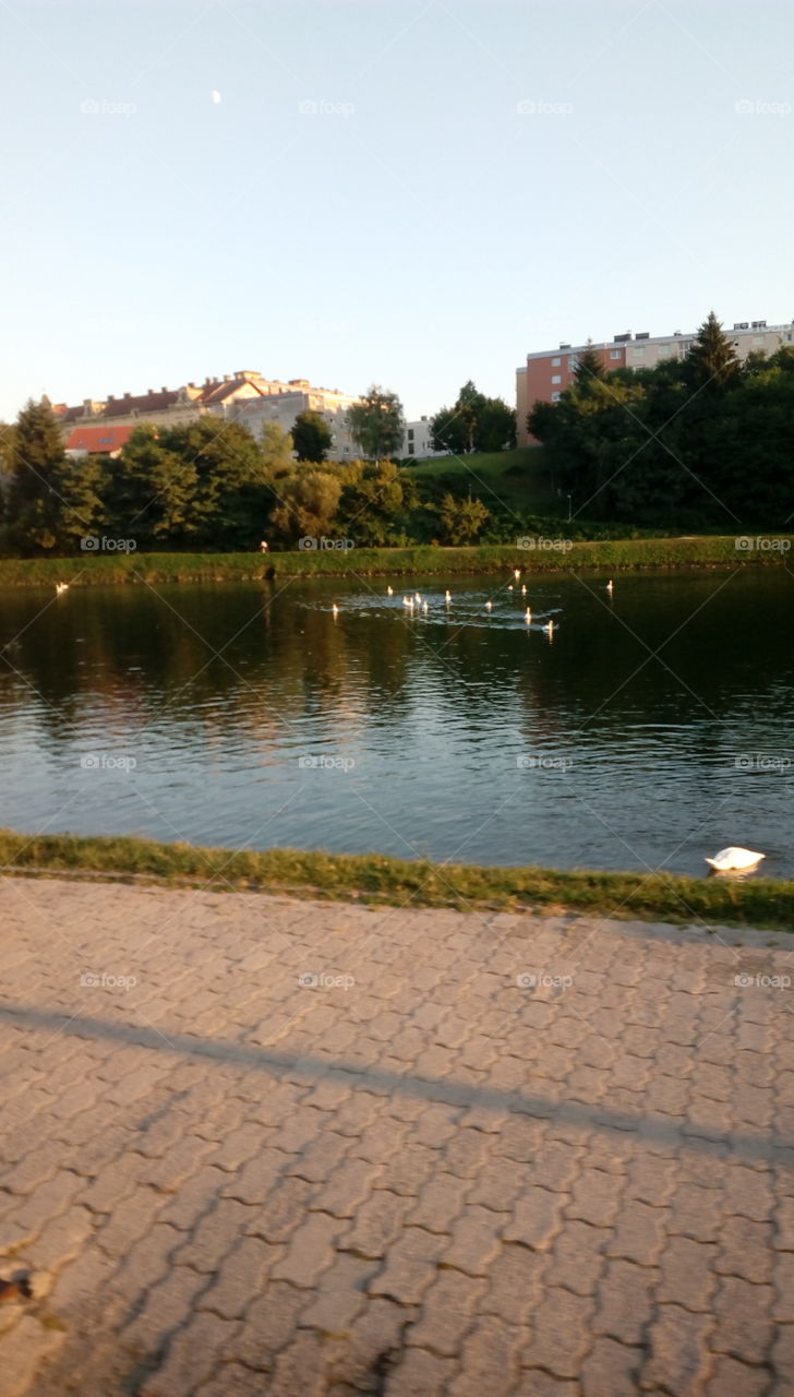 River Drava in Maribor