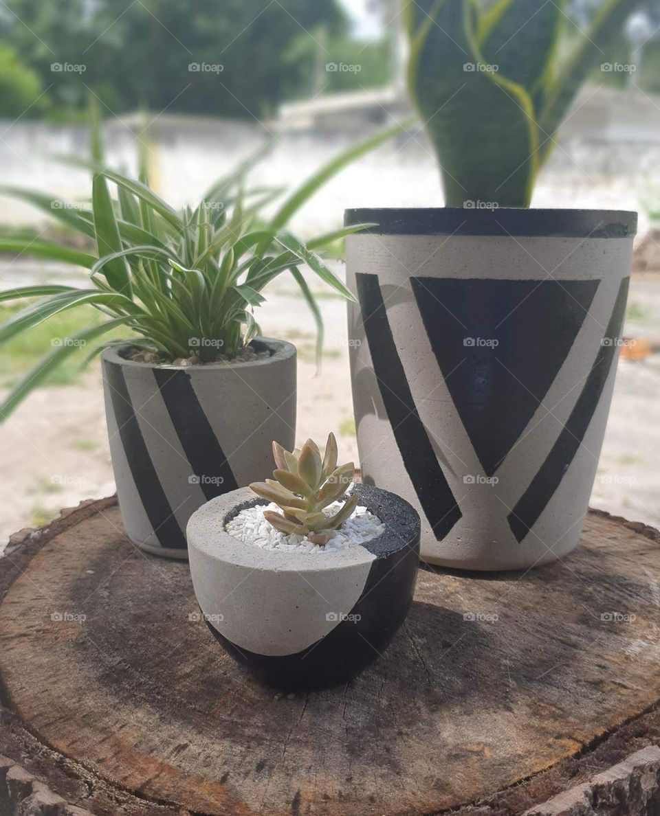 decorative cement containers for any green or flower plant