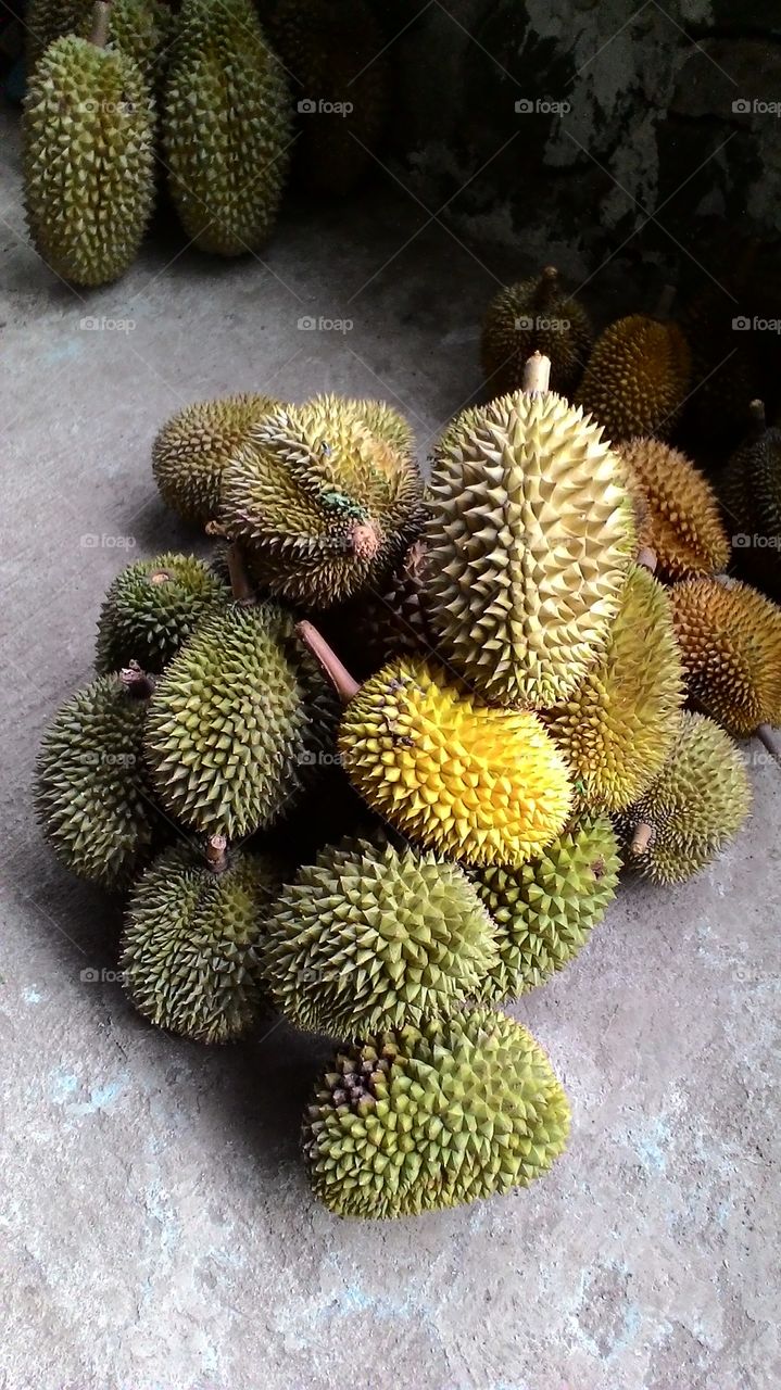 Durian forever