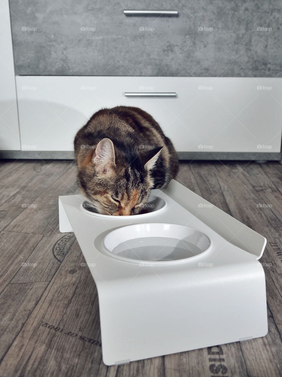 LucyBalu Duo Dining Station