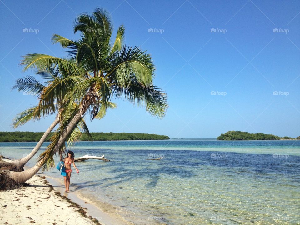 Beautiful landscape. Beautiful landscape