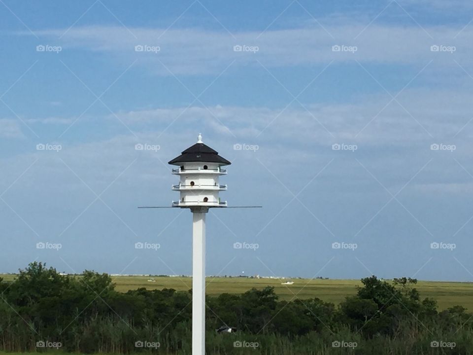 Close-up of bird house