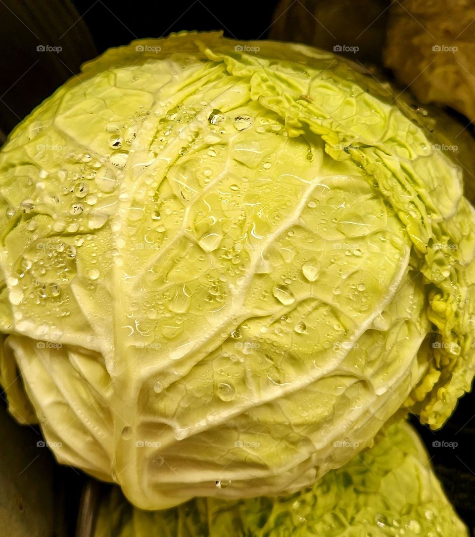 bright green head of lettuce with water drops for sale in an Oregon market ready to be made into a delicious meal