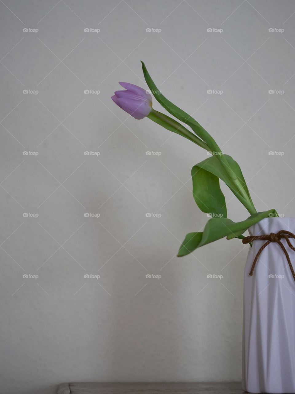 One tulip in vase