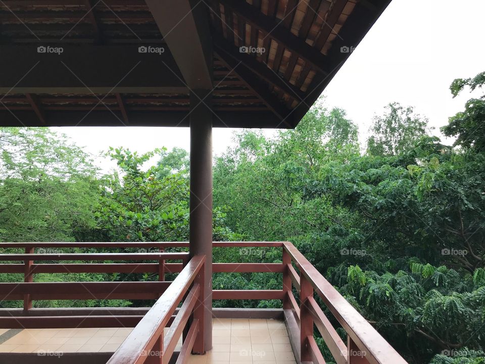 Pavilion for looking  birds