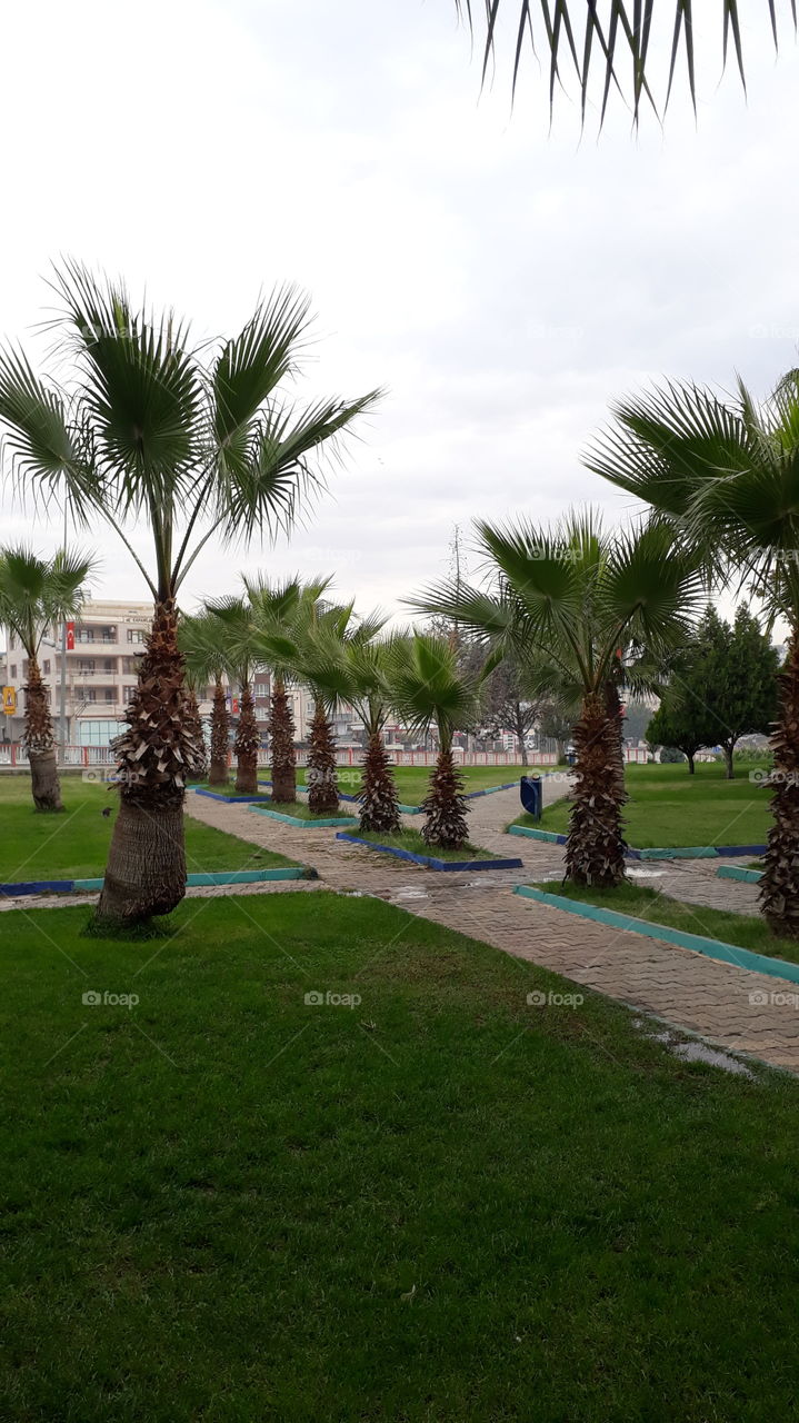 Şanlıurfa Türkiye