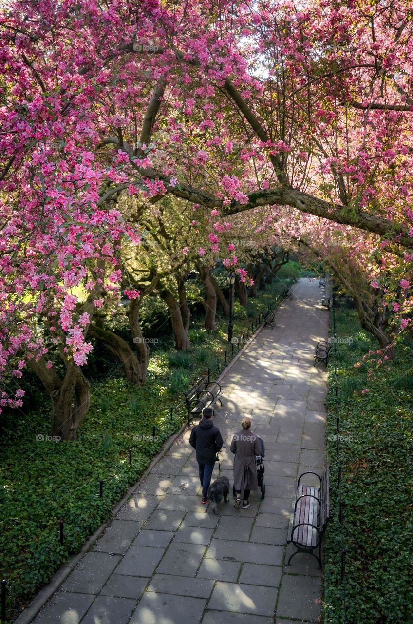 Morning spring walk