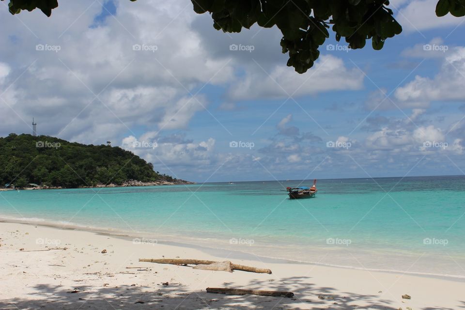 under the tree on the nice beach