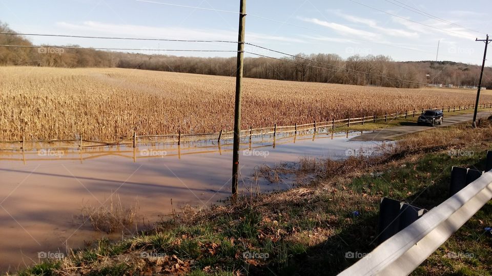 Floodwaters rising into cornfield and covering the road