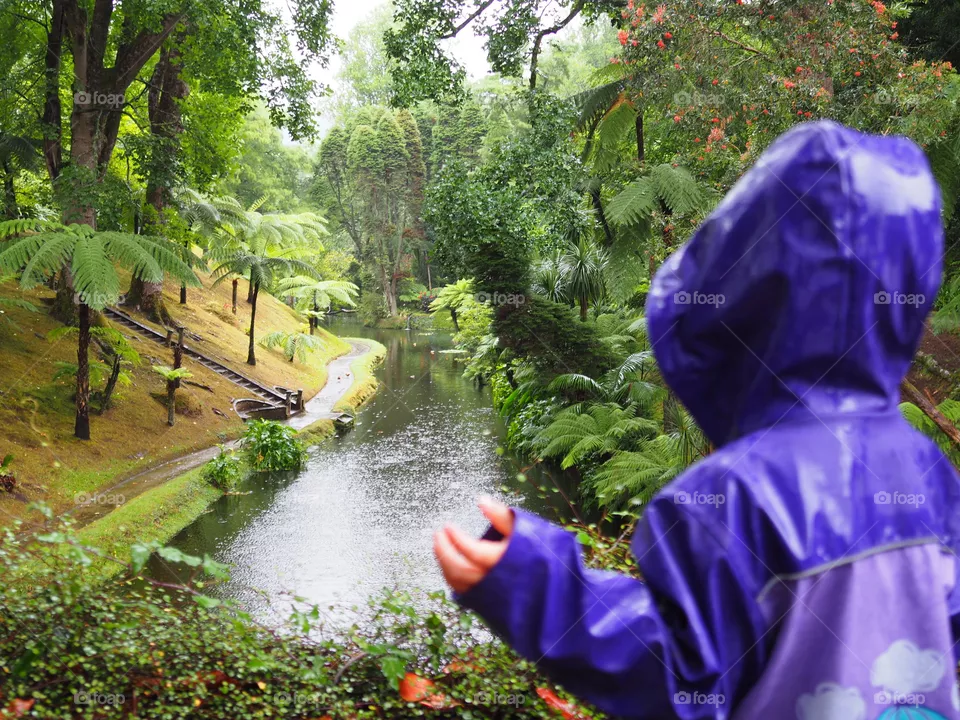 Rain 