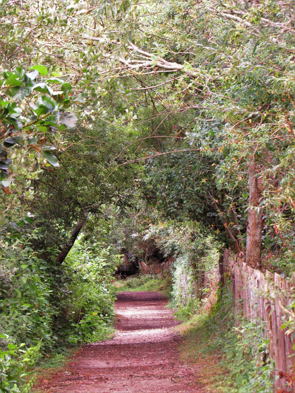 Green arch