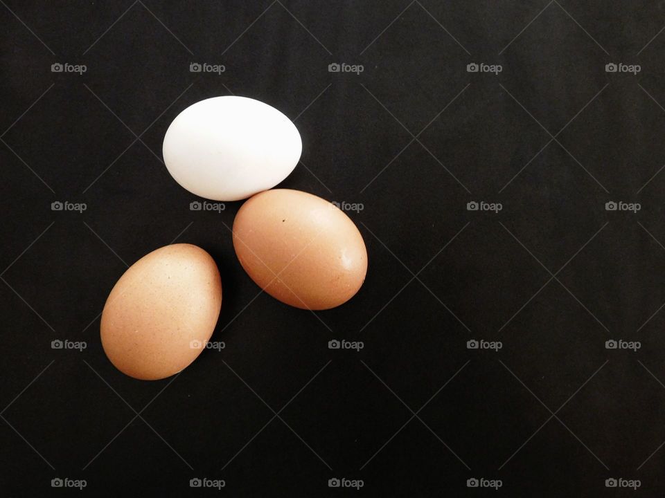 eggs