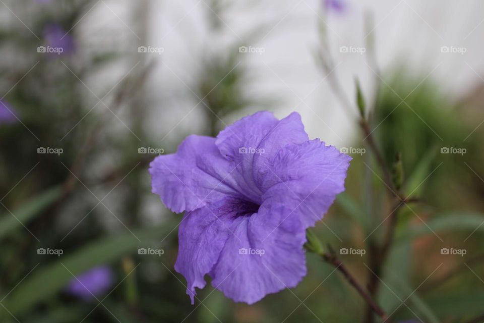 Small moment of happiness photography 