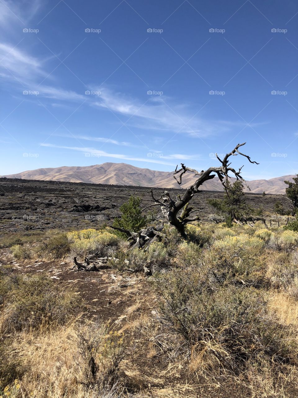 Craters of the Moon Scene