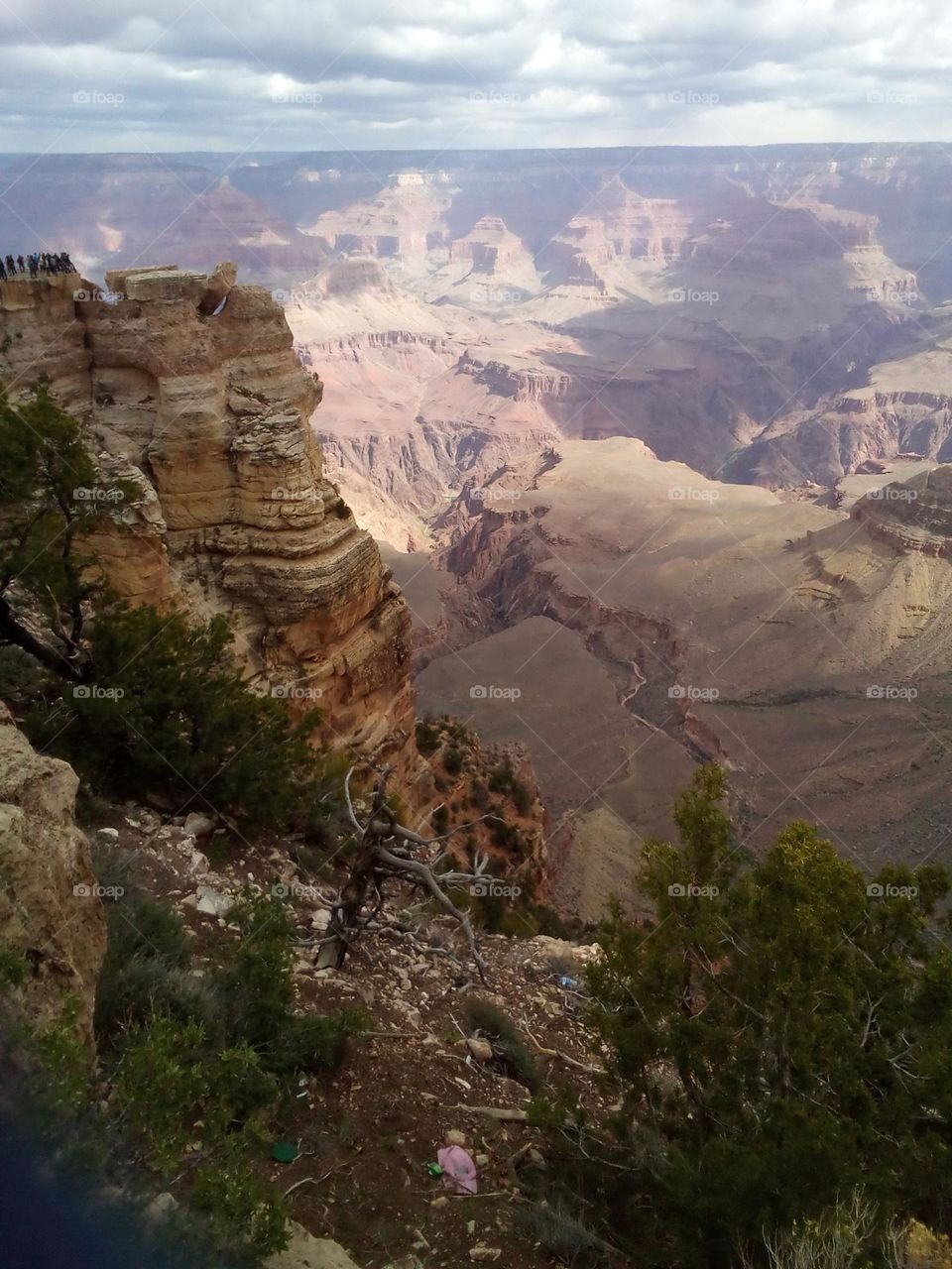 Entrance into Grand Canyon. The contrast of light and dark colors with the playing of light and dark light draws interest. It works together to show the vastness of the canyon. 