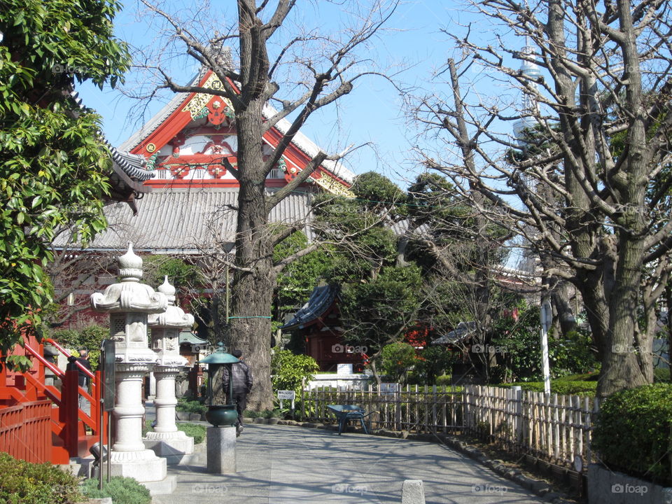 Asakusa Kannon. Sensoji Buddhist Temple and Gardens. Tokyo, Japan. Pagoda and Stone Lanterns. Trees and Skyline.