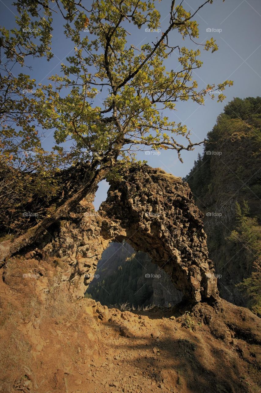 rock's arch, mountains, tree
