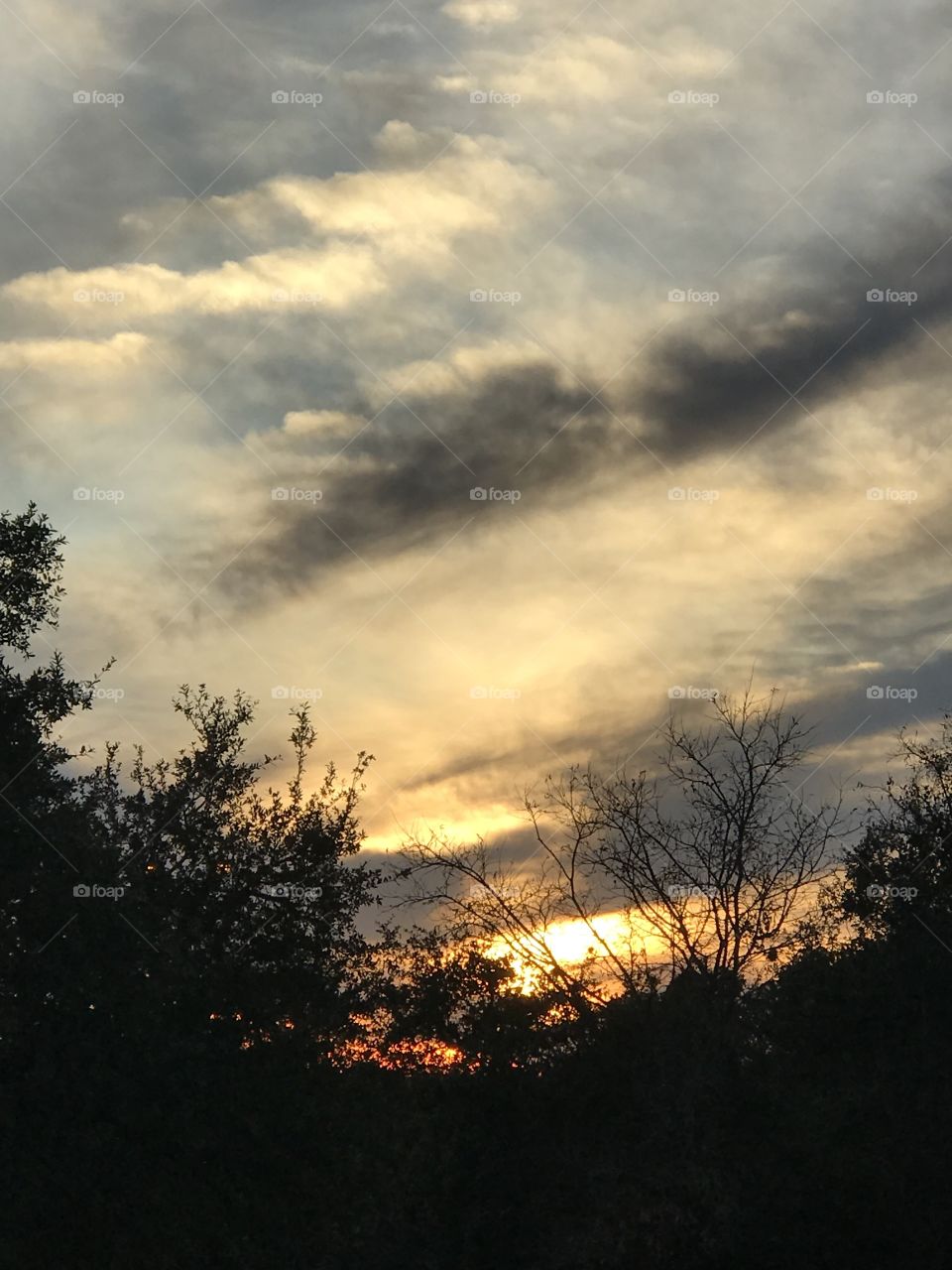 Texas winter sunset