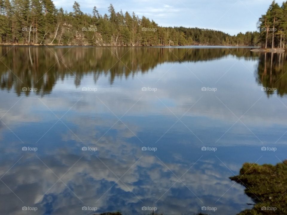 Lilla älgsjön lake, Kolmården, Östergötland, Sweden