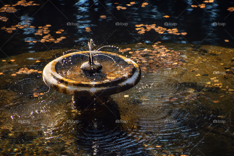 First signs of autumn