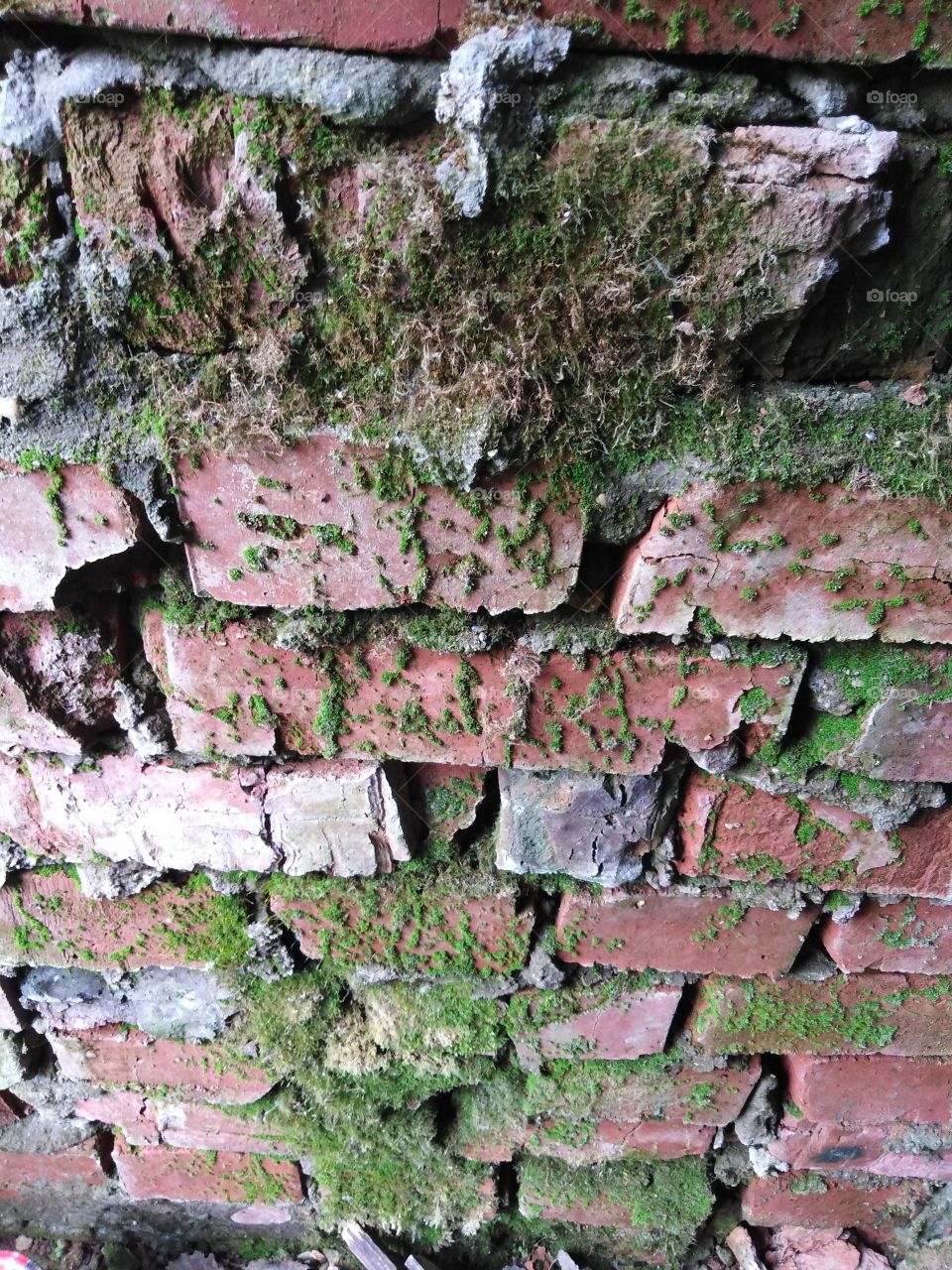 Текстура кирпичной стены