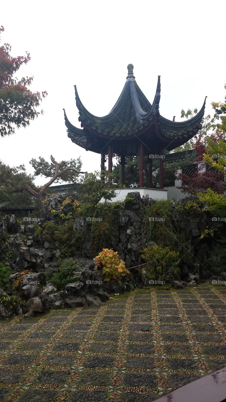 Chinatown garden