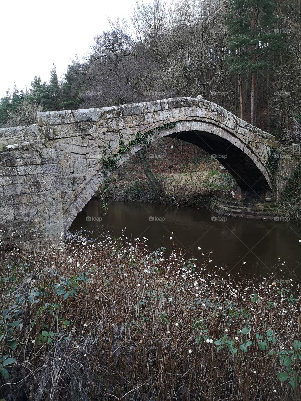 Stone Bridge over a river with foliage in the foreground