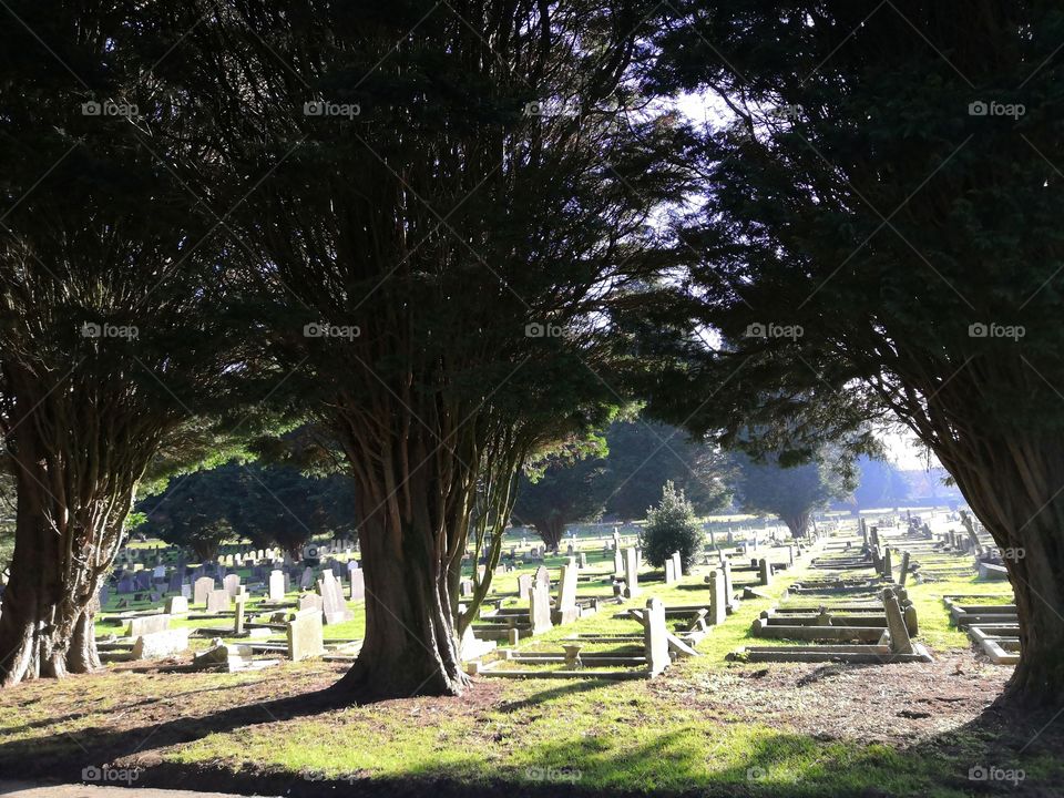 Graveyard /cemetery
