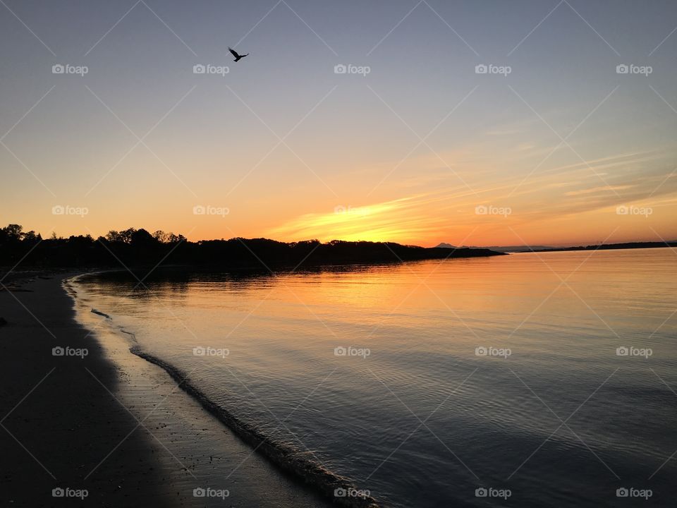 Waiting for sun to come up on Willows Beach, Victoria