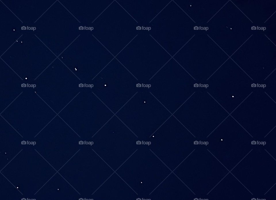 Большая медведица 