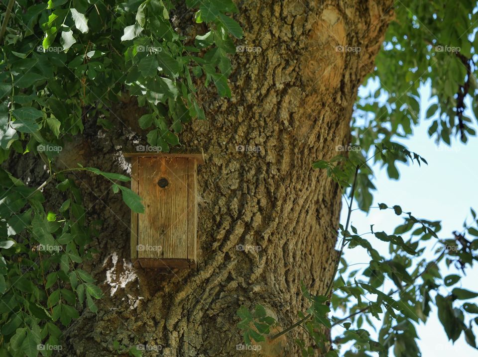 Self made bird house in forest