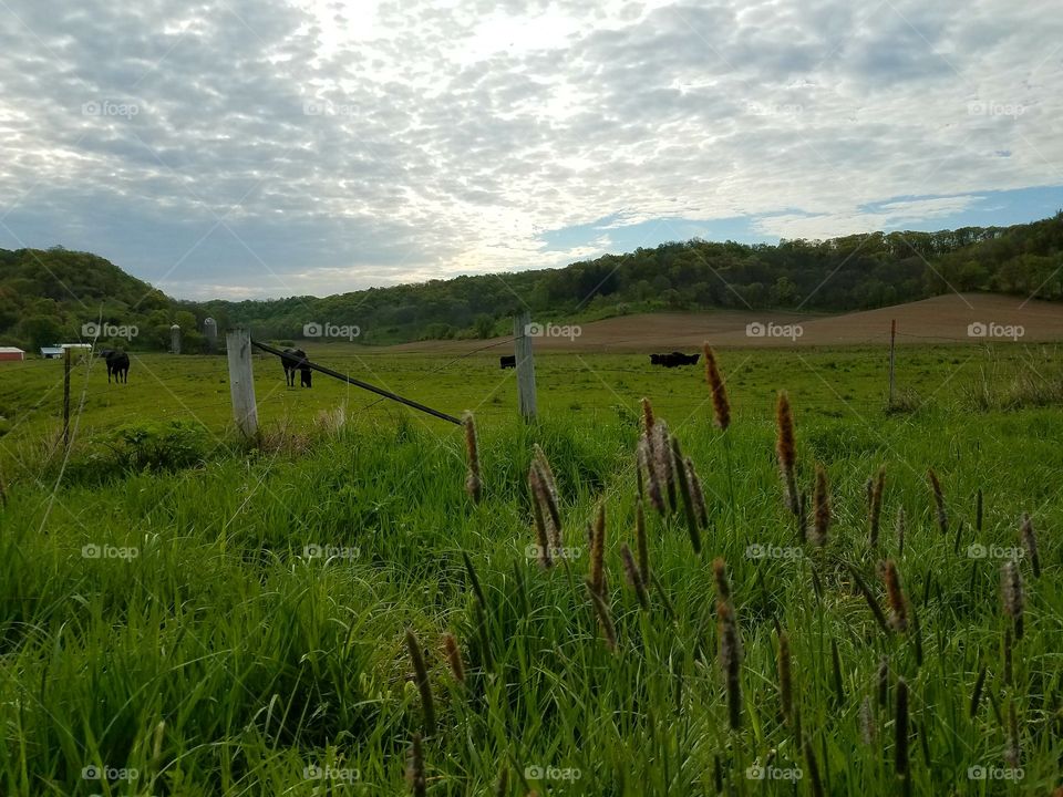 Driving the Back Roads and enjoying everything around us