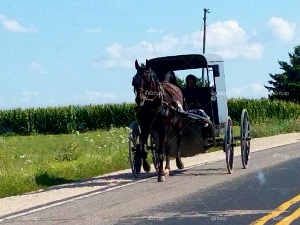 Driving the Back Roads and enjoying everything around us