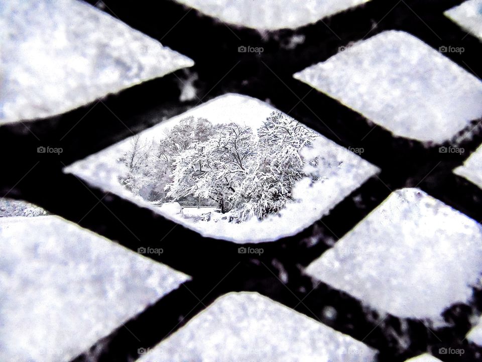 snow covered trees through hole in metal gate