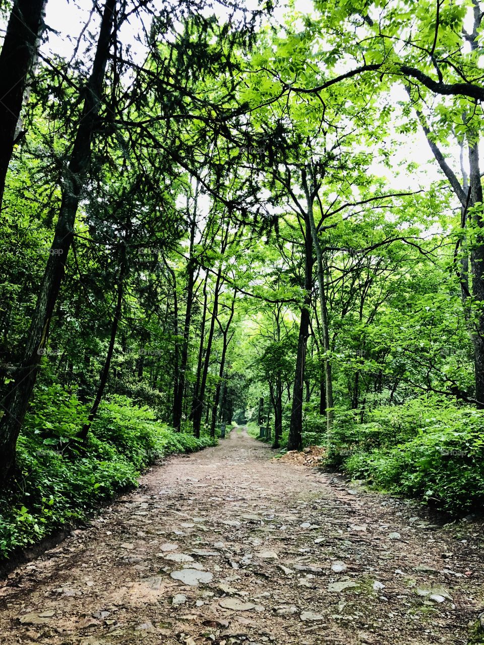 Trekking at hill top 