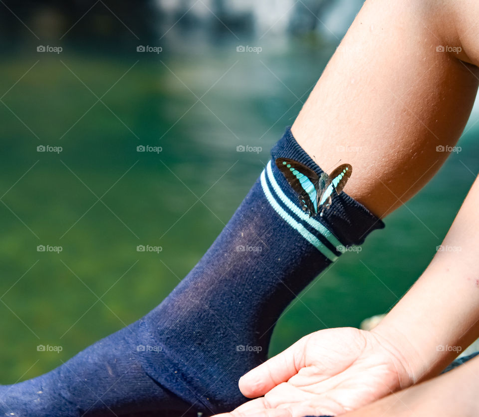 butterfly sitting on legs of a boy