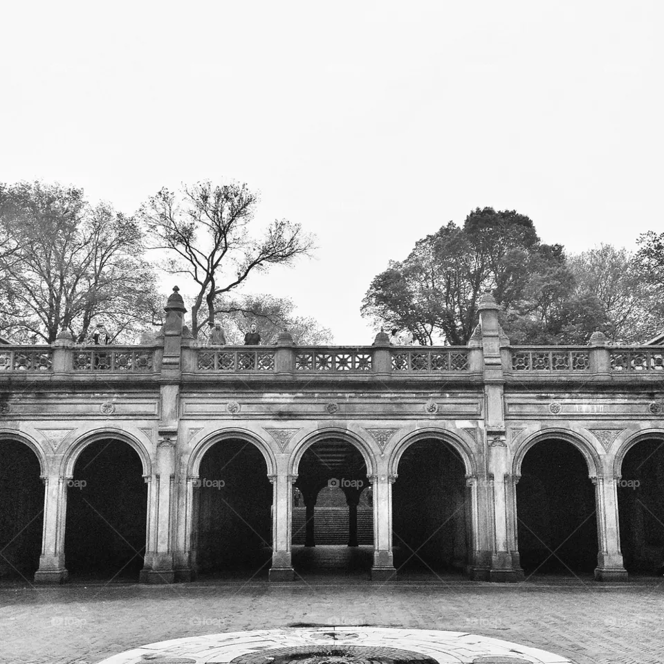 Arches