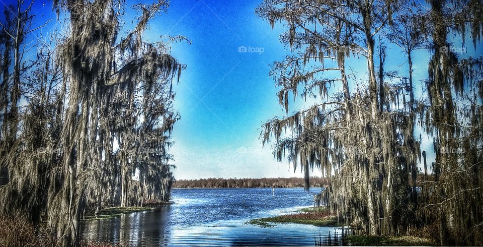 Shoupick Bayou