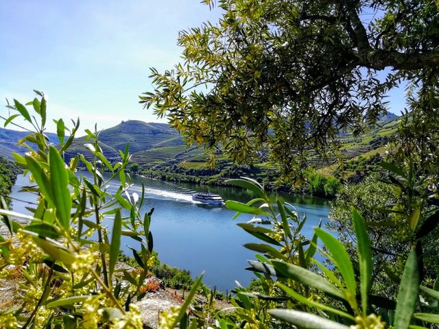 From A to B... Douro river, Portugal