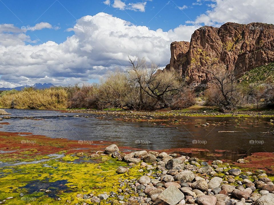 Red and green algae form in ponds along the scenic Salt River near Phoenix Arizona