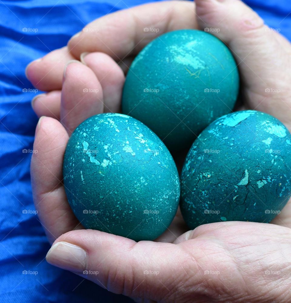 Easter eggs in the hands spring holiday