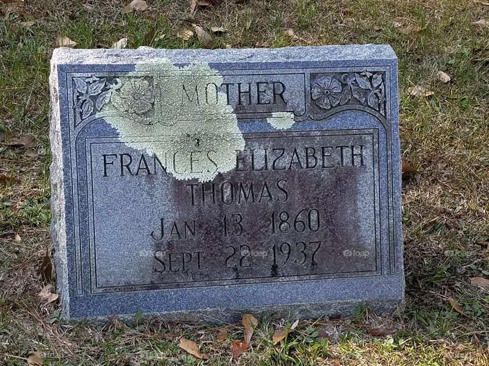 Old Headstone with Moss