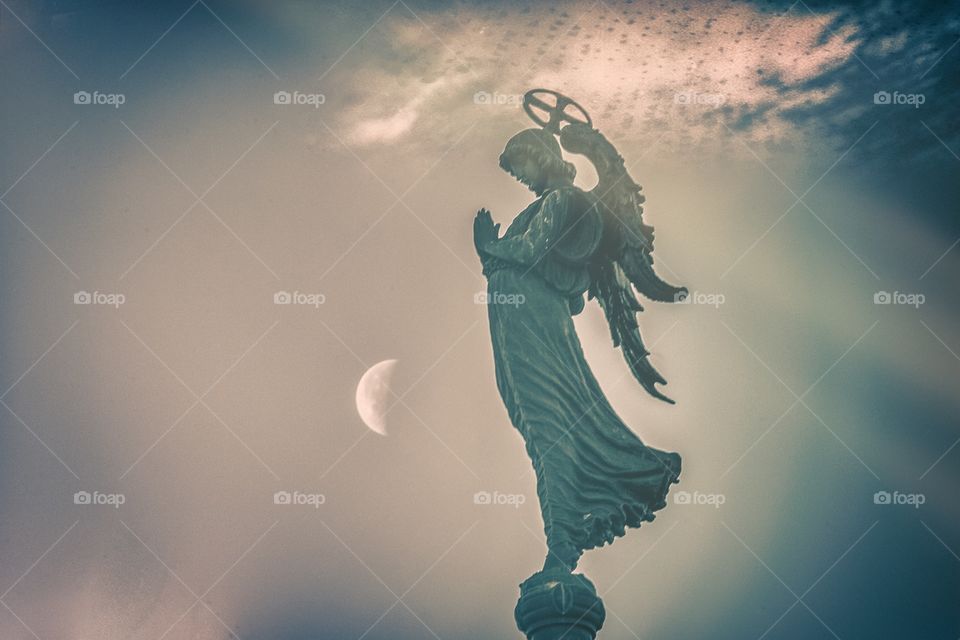 Guardian of the Moon
