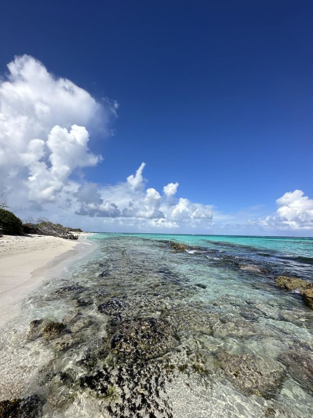 Anguilla 🩵
