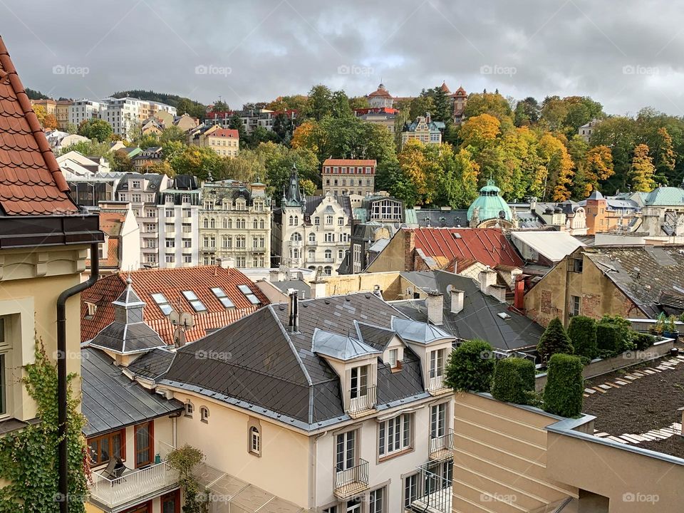 Autumn nature in the city 