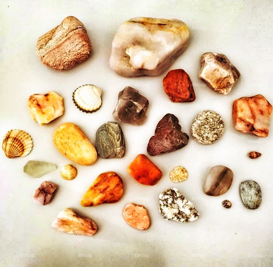 Rocks and shells 